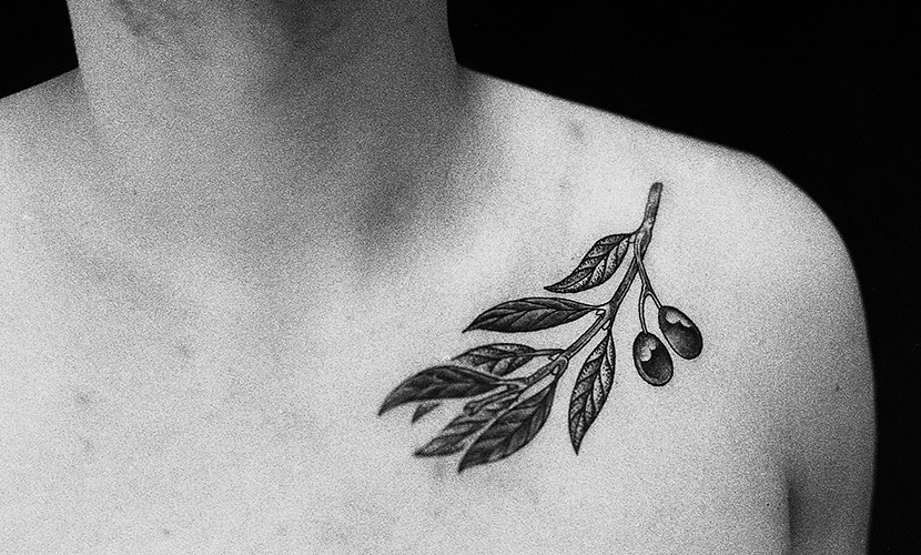 tatuaje de una rama de olivo